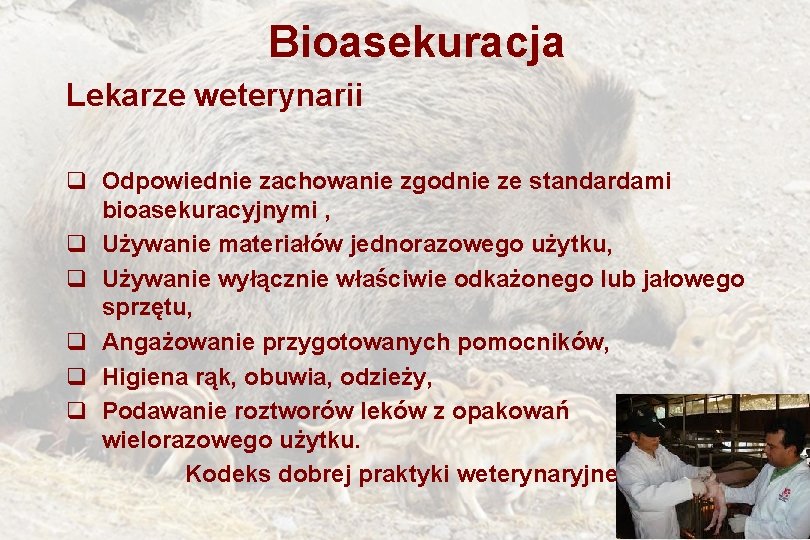 Bioasekuracja Lekarze weterynarii q Odpowiednie zachowanie zgodnie ze standardami bioasekuracyjnymi , q Używanie materiałów