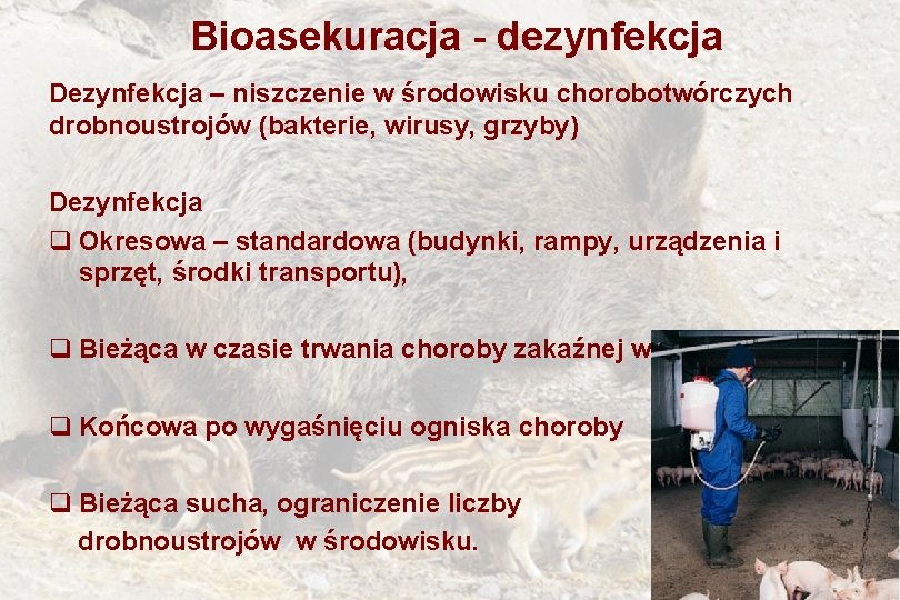 Bioasekuracja - dezynfekcja Dezynfekcja – niszczenie w środowisku chorobotwórczych drobnoustrojów (bakterie, wirusy, grzyby) Dezynfekcja