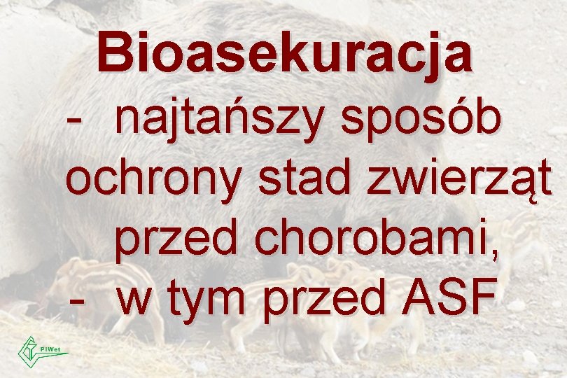 Bioasekuracja - najtańszy sposób ochrony stad zwierząt przed chorobami, - w tym przed ASF