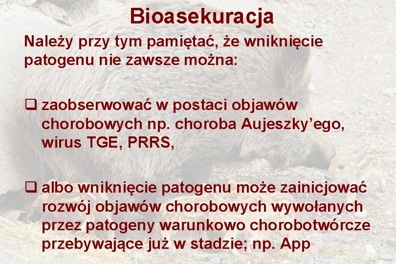 Bioasekuracja Należy przy tym pamiętać, że wniknięcie patogenu nie zawsze można: q zaobserwować w
