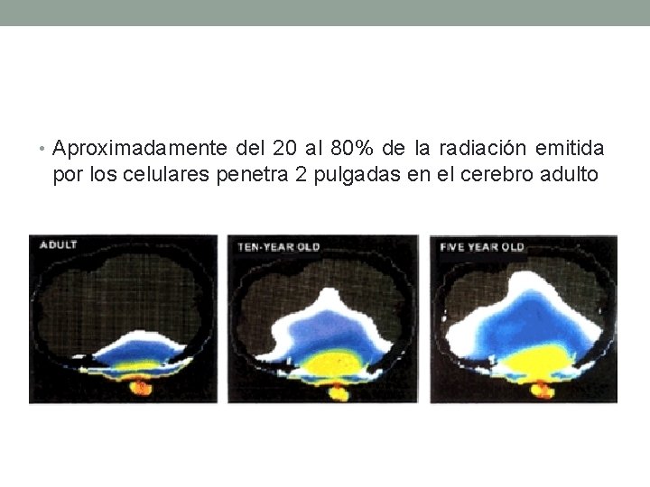  • Aproximadamente del 20 al 80% de la radiación emitida por los celulares