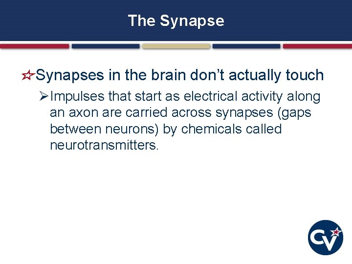The Synapses in the brain don’t actually touch ØImpulses that start as electrical activity The Synapses in the brain don’t actually touch ØImpulses that start as electrical activity