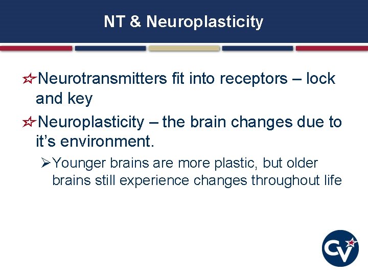 NT & Neuroplasticity Neurotransmitters fit into receptors – lock and key Neuroplasticity – the