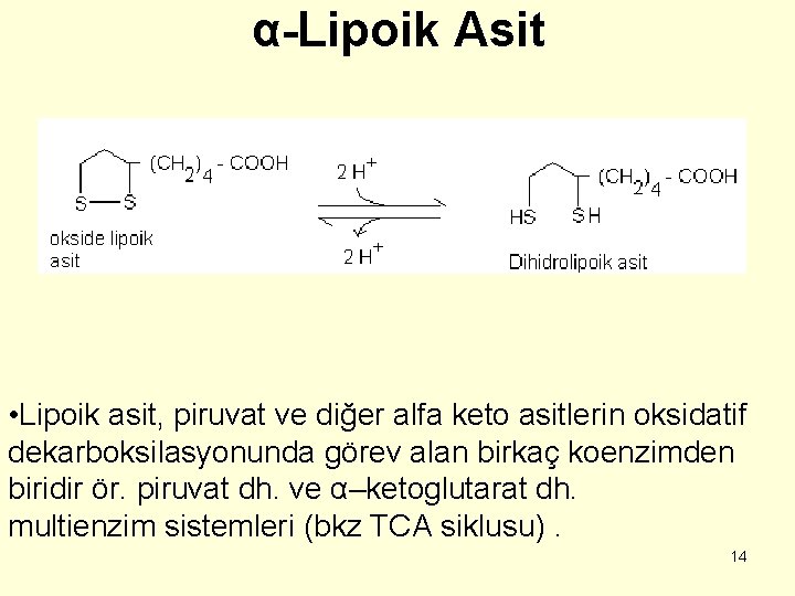 α-Lipoik Asit • Lipoik asit, piruvat ve diğer alfa keto asitlerin oksidatif dekarboksilasyonunda görev