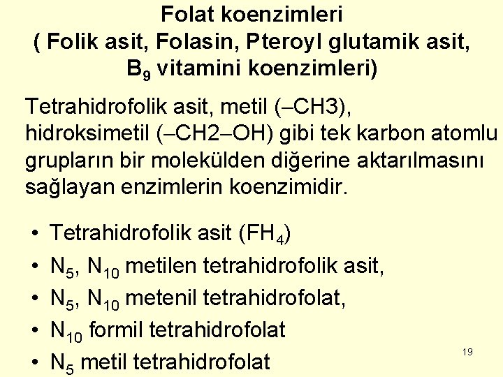 Folat koenzimleri ( Folik asit, Folasin, Pteroyl glutamik asit, B 9 vitamini koenzimleri) Tetrahidrofolik