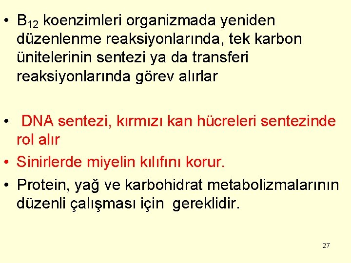  • B 12 koenzimleri organizmada yeniden düzenlenme reaksiyonlarında, tek karbon ünitelerinin sentezi ya