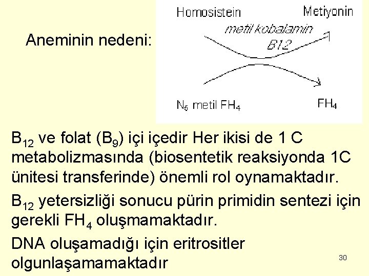 Aneminin nedeni: B 12 ve folat (B 9) içi içedir Her ikisi de 1