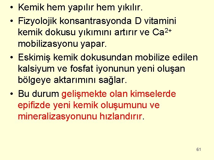  • Kemik hem yapılır hem yıkılır. • Fizyolojik konsantrasyonda D vitamini kemik dokusu