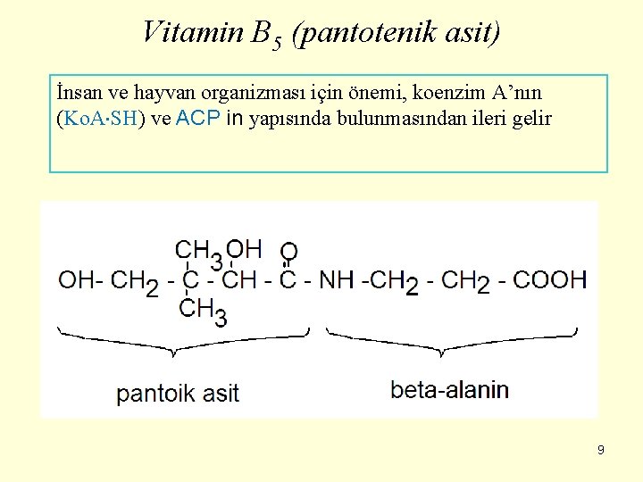 Vitamin B 5 (pantotenik asit) İnsan ve hayvan organizması için önemi, koenzim A’nın (Ko.