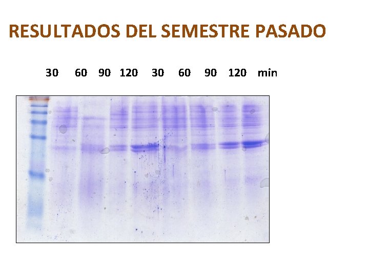 RESULTADOS DEL SEMESTRE PASADO 30 60 90 120 min 