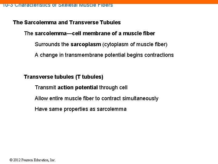 10 -3 Characteristics of Skeletal Muscle Fibers The Sarcolemma and Transverse Tubules The sarcolemma—cell 10 -3 Characteristics of Skeletal Muscle Fibers The Sarcolemma and Transverse Tubules The sarcolemma—cell