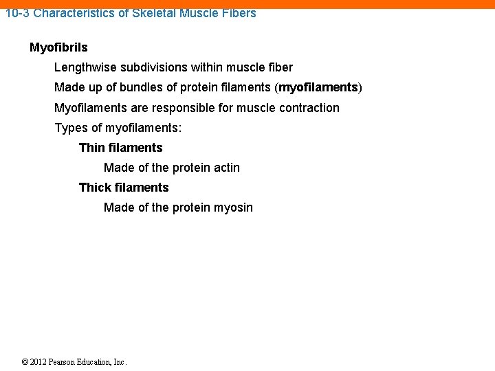 10 -3 Characteristics of Skeletal Muscle Fibers Myofibrils Lengthwise subdivisions within muscle fiber Made 10 -3 Characteristics of Skeletal Muscle Fibers Myofibrils Lengthwise subdivisions within muscle fiber Made