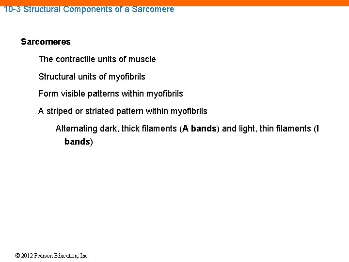 10 -3 Structural Components of a Sarcomeres The contractile units of muscle Structural units 10 -3 Structural Components of a Sarcomeres The contractile units of muscle Structural units