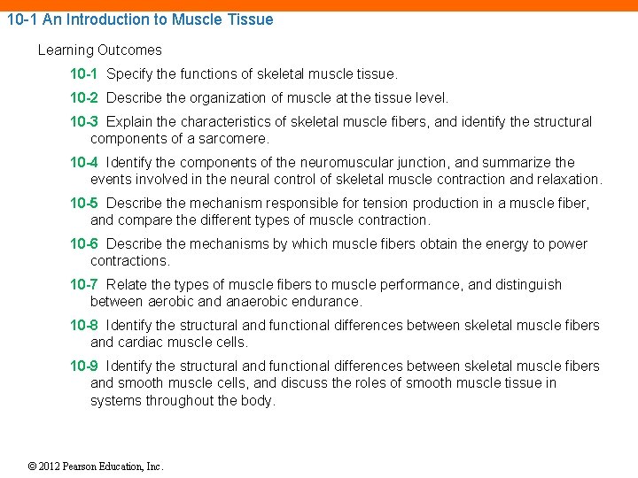 10 -1 An Introduction to Muscle Tissue Learning Outcomes 10 -1 Specify the functions 10 -1 An Introduction to Muscle Tissue Learning Outcomes 10 -1 Specify the functions