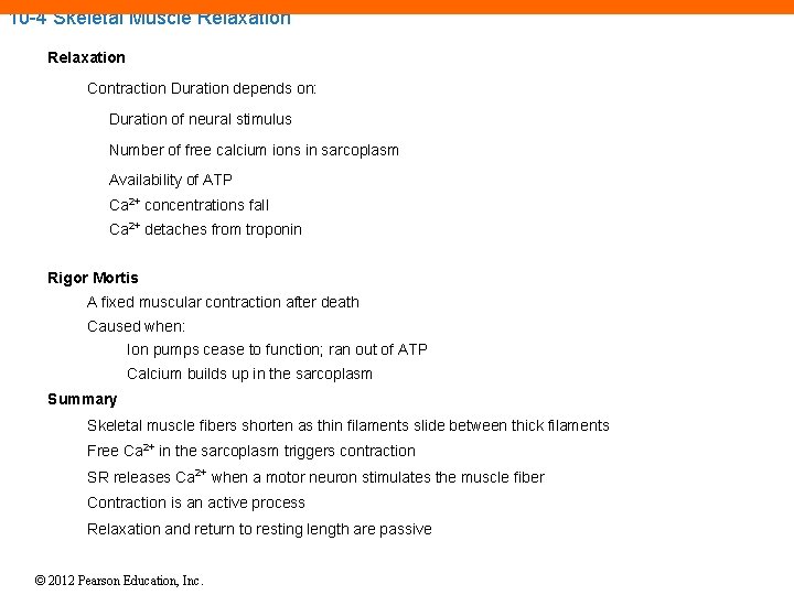 10 -4 Skeletal Muscle Relaxation Contraction Duration depends on: Duration of neural stimulus Number 10 -4 Skeletal Muscle Relaxation Contraction Duration depends on: Duration of neural stimulus Number