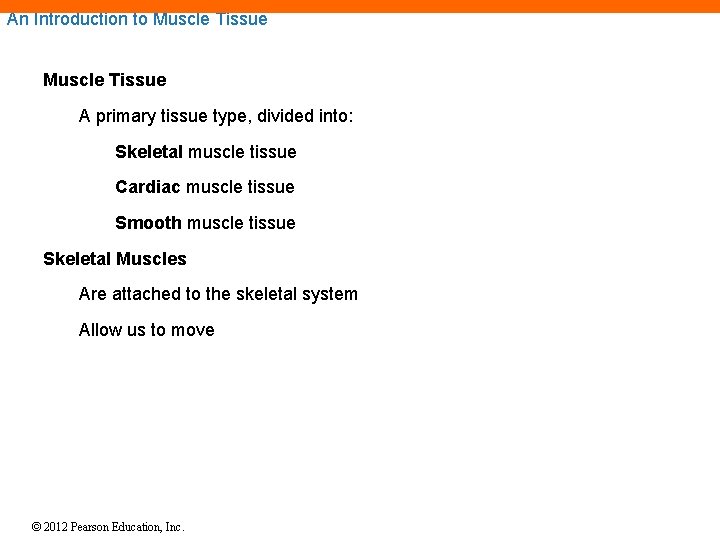 An Introduction to Muscle Tissue A primary tissue type, divided into: Skeletal muscle tissue An Introduction to Muscle Tissue A primary tissue type, divided into: Skeletal muscle tissue