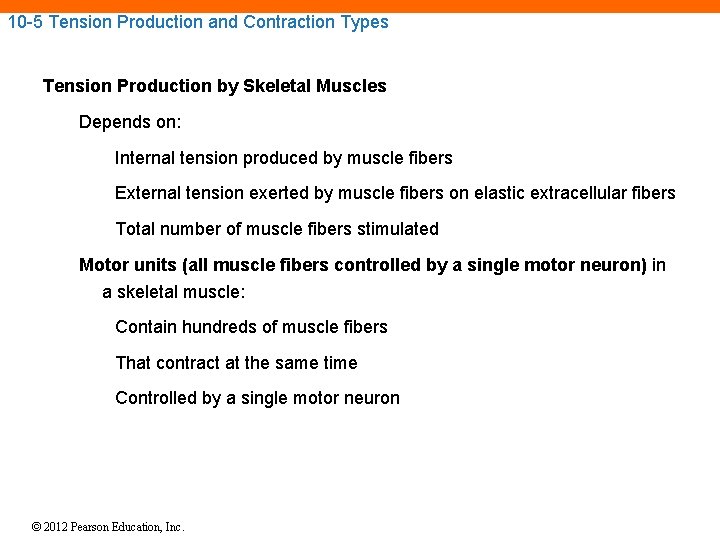10 -5 Tension Production and Contraction Types Tension Production by Skeletal Muscles Depends on: 10 -5 Tension Production and Contraction Types Tension Production by Skeletal Muscles Depends on: