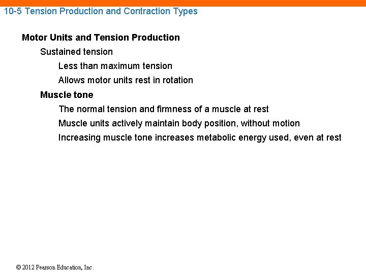10 -5 Tension Production and Contraction Types Motor Units and Tension Production Sustained tension 10 -5 Tension Production and Contraction Types Motor Units and Tension Production Sustained tension