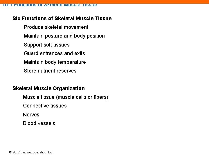 10 -1 Functions of Skeletal Muscle Tissue Six Functions of Skeletal Muscle Tissue Produce 10 -1 Functions of Skeletal Muscle Tissue Six Functions of Skeletal Muscle Tissue Produce