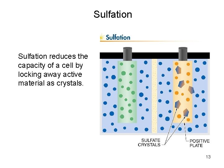Sulfation reduces the capacity of a cell by locking away active material as crystals.