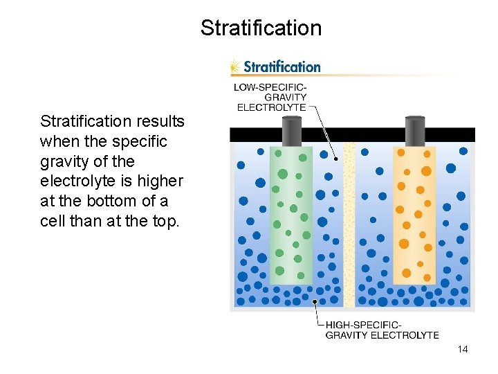 Stratification results when the specific gravity of the electrolyte is higher at the bottom