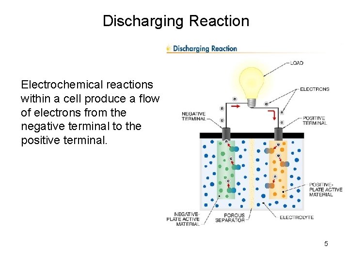 Discharging Reaction Electrochemical reactions within a cell produce a flow of electrons from the