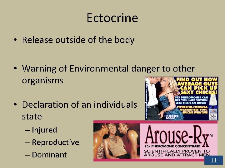 Ectocrine • Release outside of the body • Warning of Environmental danger to other