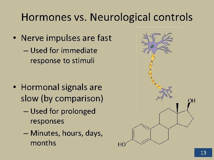 Hormones vs. Neurological controls • Nerve impulses are fast – Used for immediate response