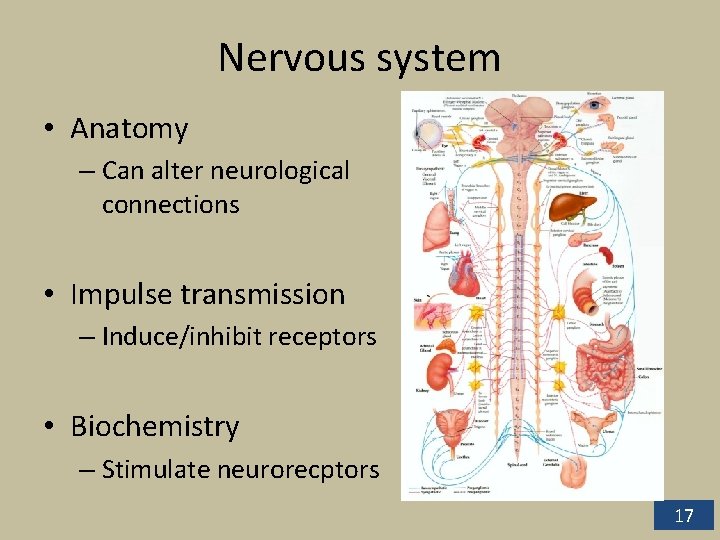 Nervous system • Anatomy – Can alter neurological connections • Impulse transmission – Induce/inhibit