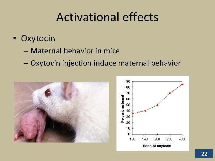 Activational effects • Oxytocin – Maternal behavior in mice – Oxytocin injection induce maternal