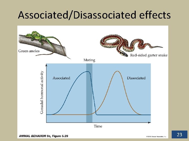 Associated/Disassociated effects 23 