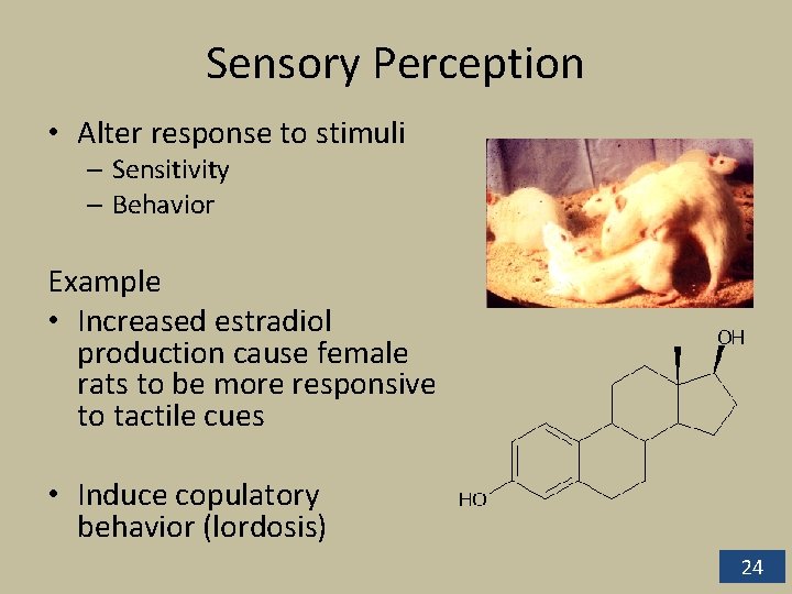 Sensory Perception • Alter response to stimuli – Sensitivity – Behavior Example • Increased