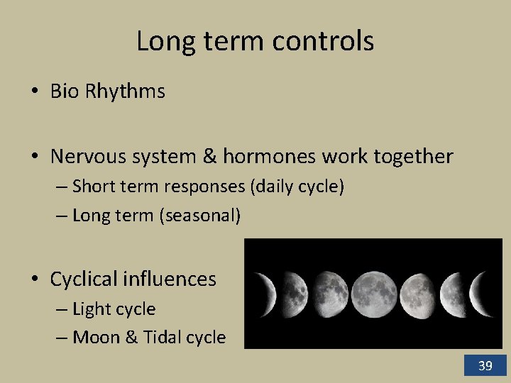 Long term controls • Bio Rhythms • Nervous system & hormones work together –