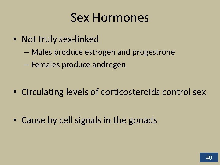 Sex Hormones • Not truly sex-linked – Males produce estrogen and progestrone – Females