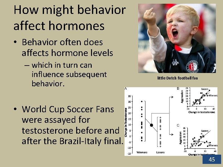 How might behavior affect hormones • Behavior often does affects hormone levels – which