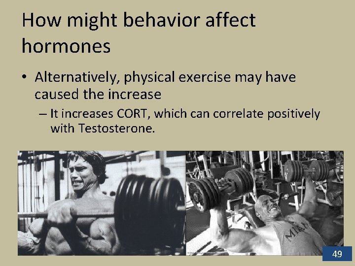 How might behavior affect hormones • Alternatively, physical exercise may have caused the increase