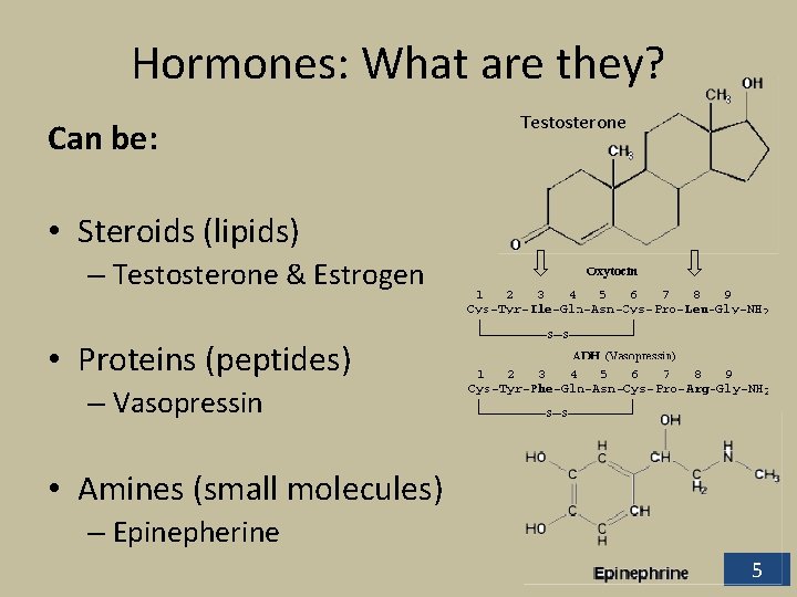 Hormones: What are they? Can be: Testosterone • Steroids (lipids) – Testosterone & Estrogen