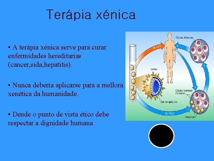 Terápia xénica • A terápia xénica serve para curar enfermidades hereditarias (cancer, sida, hepatitis).
