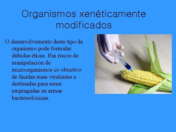 Organismos xenéticamente modificados O desenvolvemento deste tipo de organismo pode formular dúbidas éticas. Hai