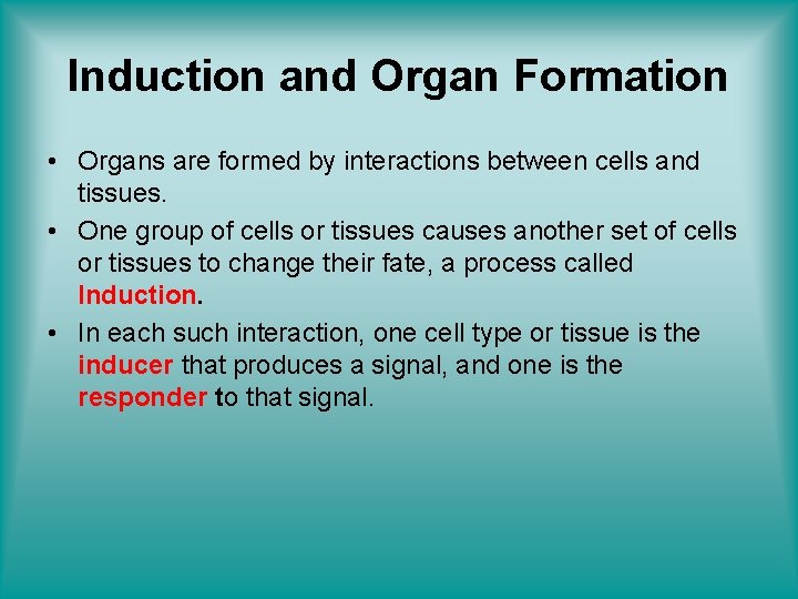Induction and Organ Formation • Organs are formed by interactions between cells and tissues.