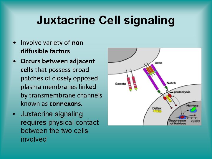 INTRODUCTION TO MOLECULAR REGULATION SIGNALING by Dr Samina