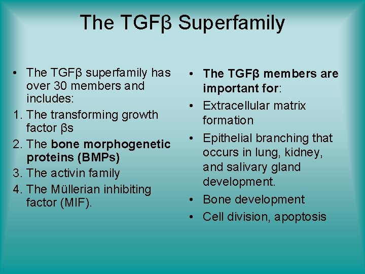 The TGFβ Superfamily • The TGFβ superfamily has over 30 members and includes: 1.