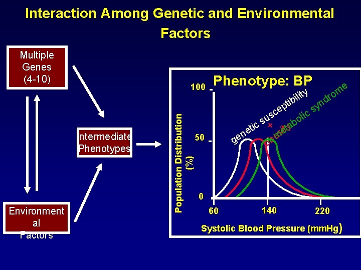 Interaction Among Genetic and Environmental Factors Multiple Genes (4 -10) Intermediate Phenotypes Environment al