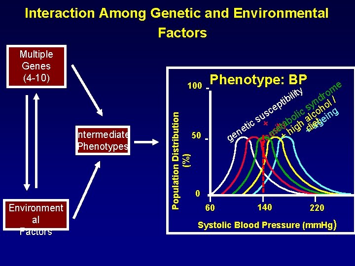 Interaction Among Genetic and Environmental Factors Multiple Genes (4 -10) Intermediate Phenotypes Environment al