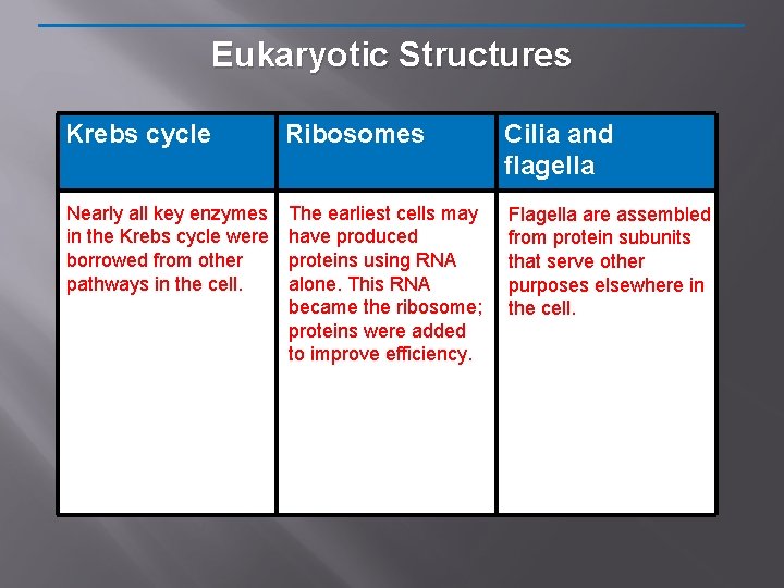 Eukaryotic Structures Krebs cycle Ribosomes Cilia and flagella Nearly all key enzymes in the