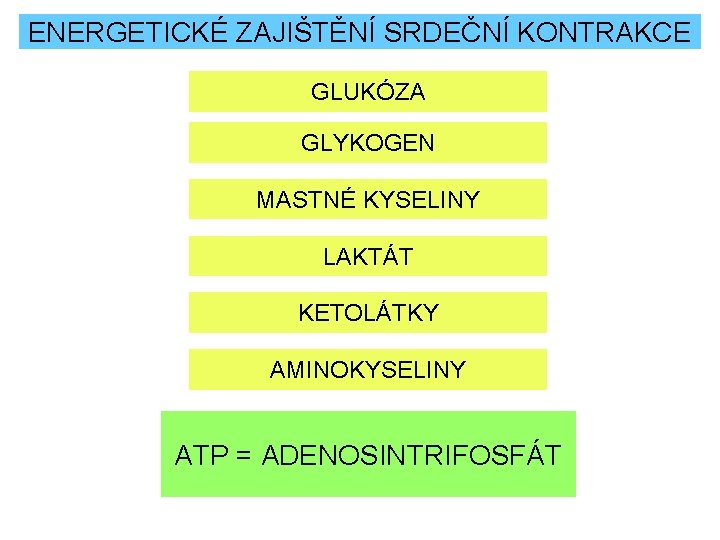 ENERGETICKÉ ZAJIŠTĚNÍ SRDEČNÍ KONTRAKCE GLUKÓZA GLYKOGEN MASTNÉ KYSELINY LAKTÁT KETOLÁTKY AMINOKYSELINY ATP = ADENOSINTRIFOSFÁT