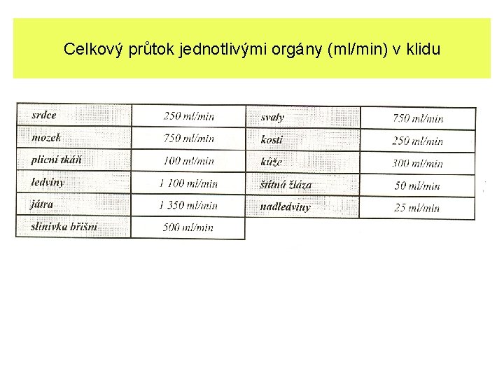 Celkový průtok jednotlivými orgány (ml/min) v klidu 