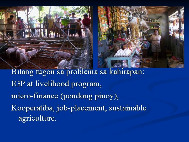 Bilang tugon sa problema sa kahirapan: IGP at livelihood program, micro-finance (pondong pinoy), Kooperatiba,