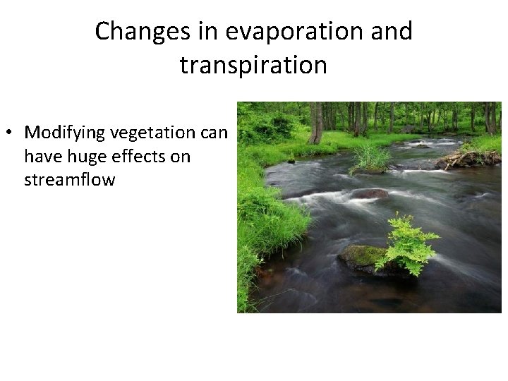 Changes in evaporation and transpiration • Modifying vegetation can have huge effects on streamflow