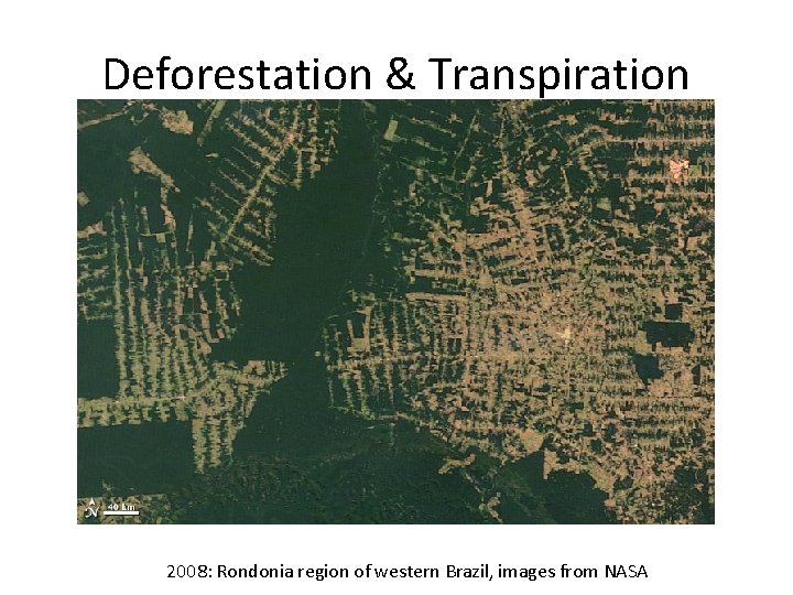 Deforestation & Transpiration 2008: Rondonia region of western Brazil, images from NASA 